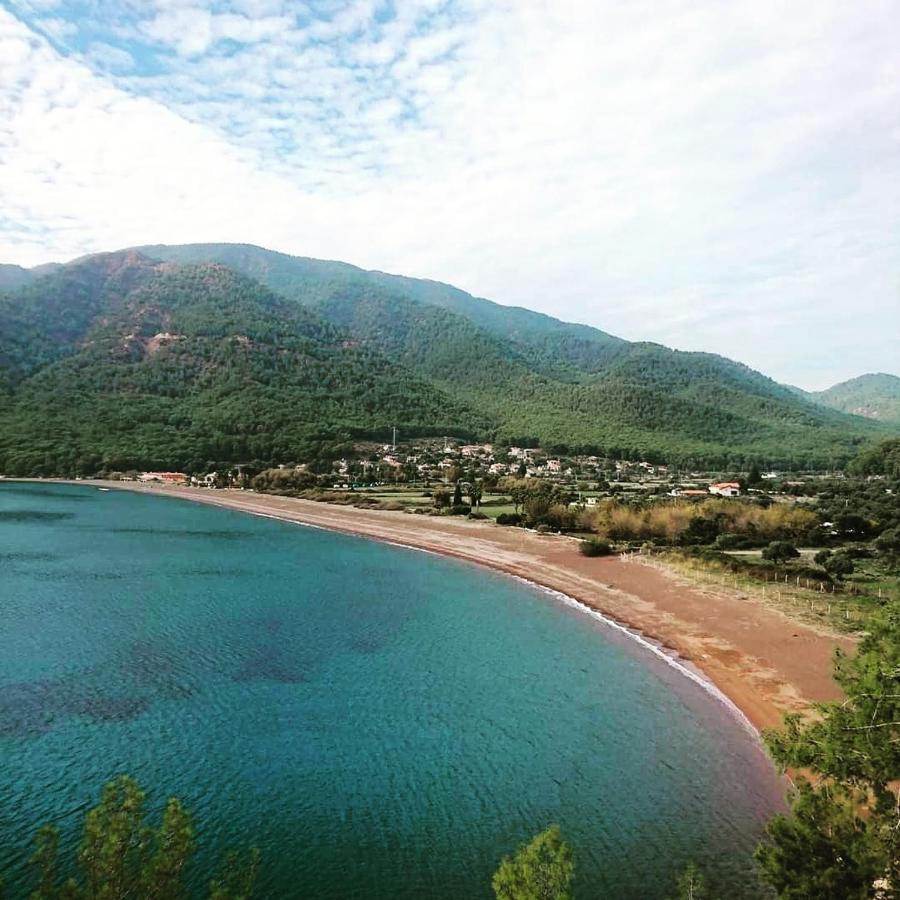 Olive Tree Apart Hotel Мугла Экстерьер фото